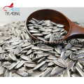 China Factory Sale Wholesale Bulk Sunflower Seeds